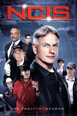 NCIS (Phần 12)